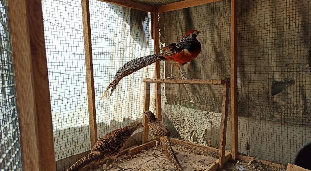 WhatsApp Image 2021-02-24 at 1.55.55 PM.jpg