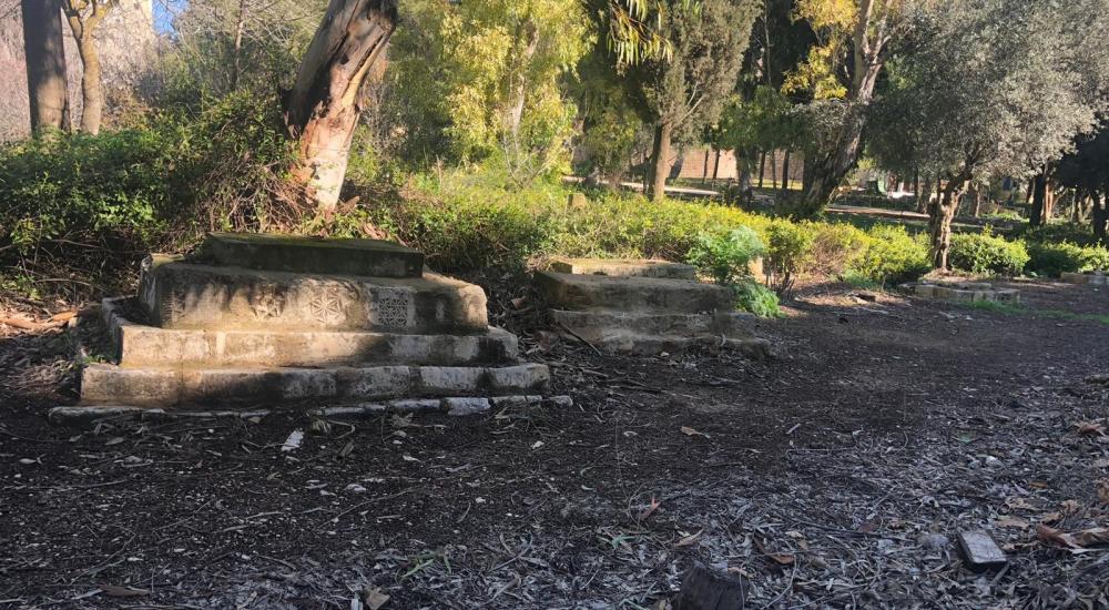 WhatsApp Image 2021-02-21 at 11.33.26 AM.jpeg