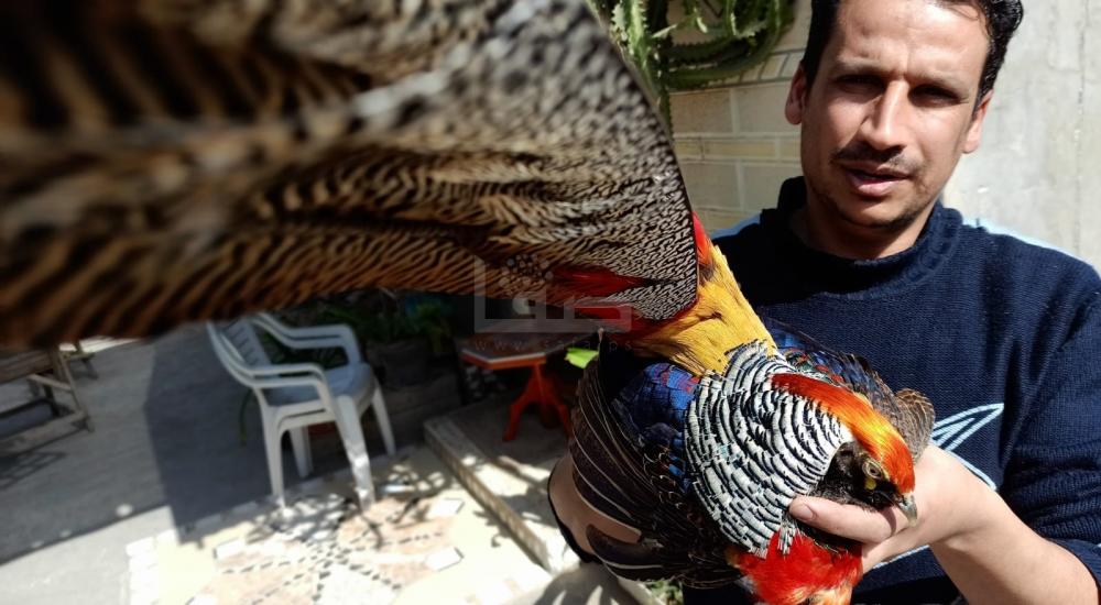 WhatsApp Image 2021-02-24 at 1.57.17 PM.jpg