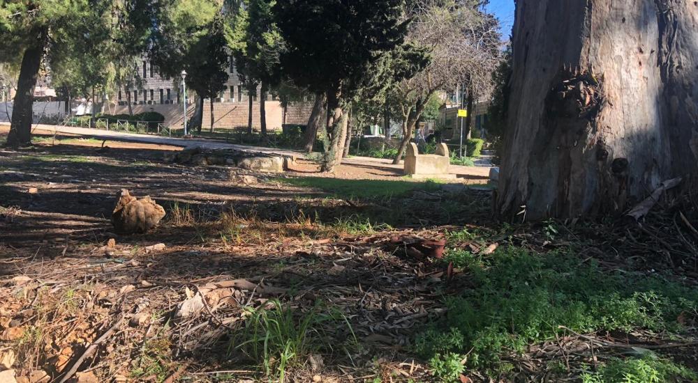 WhatsApp Image 2021-02-21 at 11.33.25 AM.jpeg