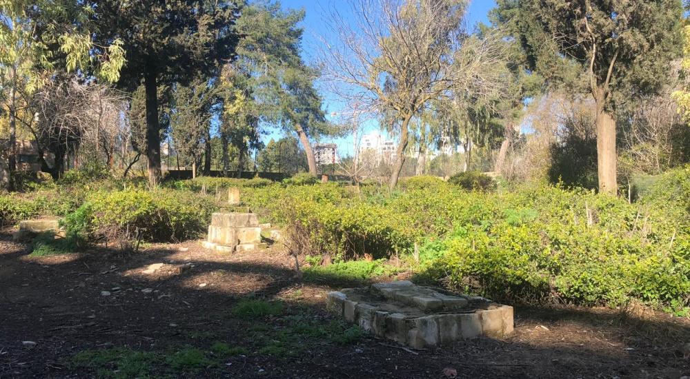 WhatsApp Image 2021-02-21 at 11.33.18 AM.jpeg