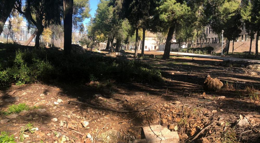 WhatsApp Image 2021-02-21 at 11.33.26 AM (2).jpeg