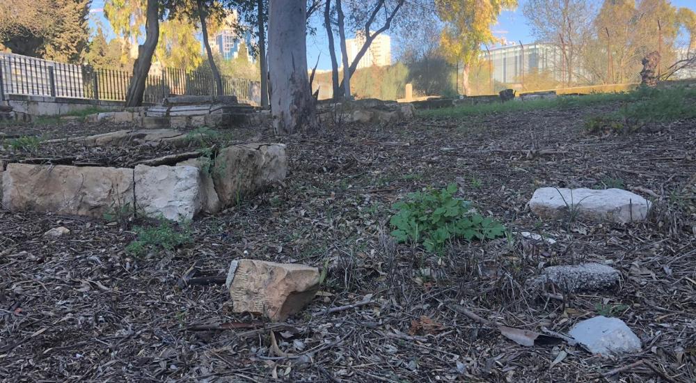 WhatsApp Image 2021-02-21 at 11.33.27 AM (2).jpeg