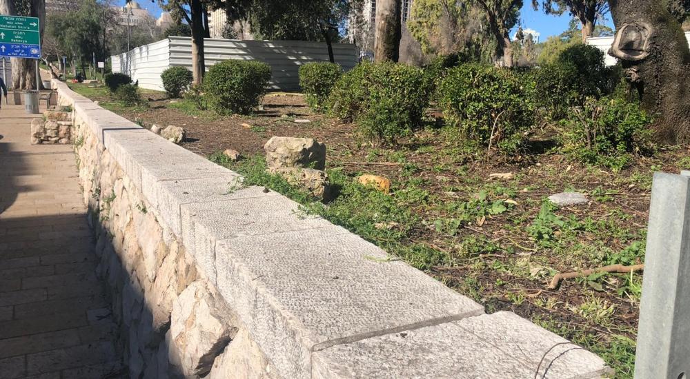 WhatsApp Image 2021-02-21 at 11.33.28 AM (1).jpeg