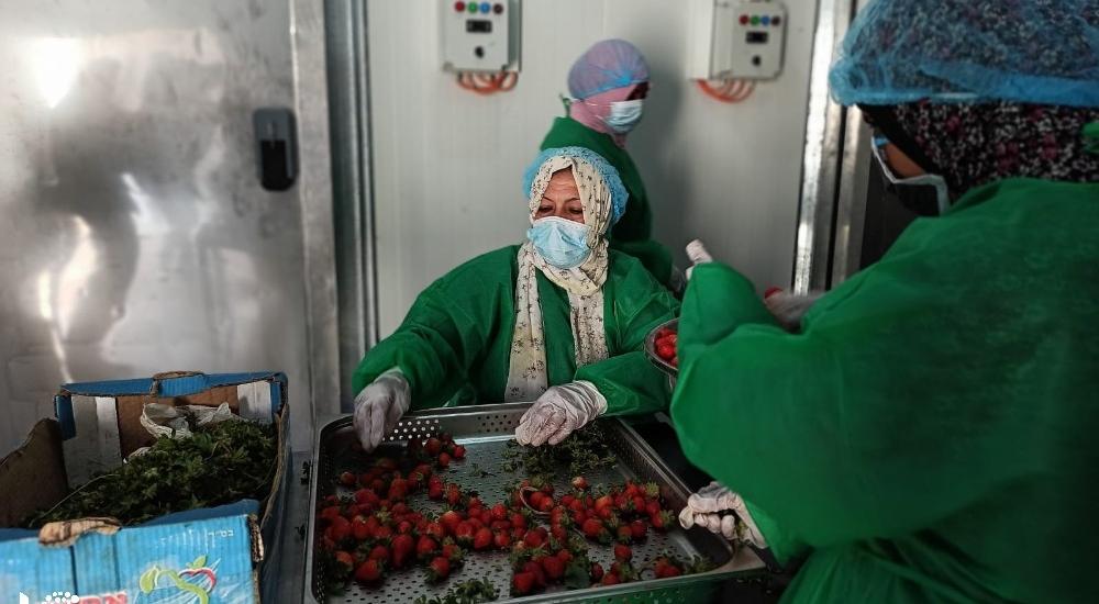 WhatsApp Image 2021-03-08 at 9.48.19 AM.jpg