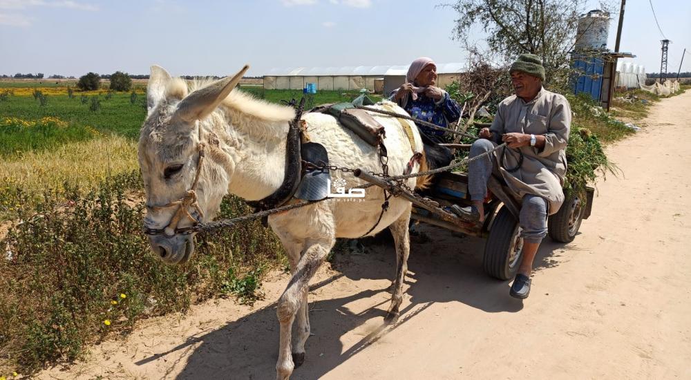 WhatsApp Image 2021-03-30 at 10.12.33 PM.jpeg