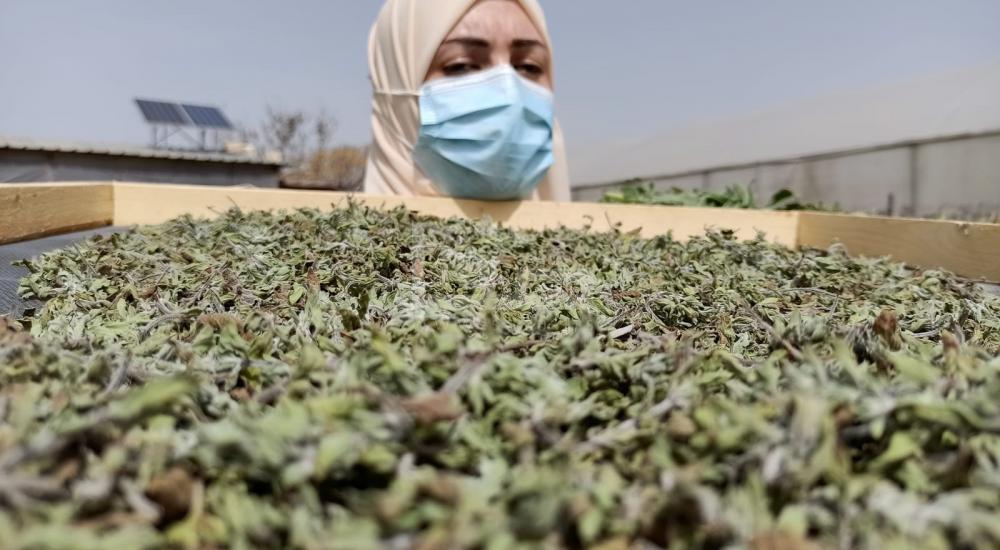 WhatsApp Image 2021-03-21 at 9.06.50 PM.jpg