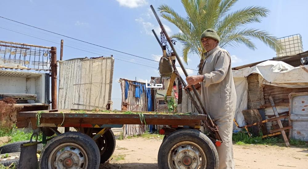 WhatsApp Image 2021-03-30 at 10.12.32 PM.jpeg