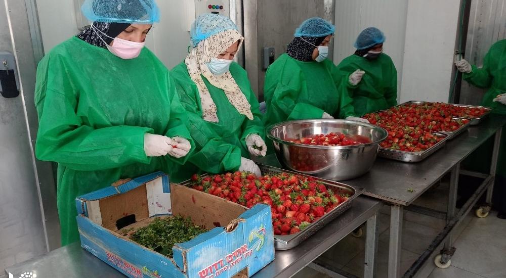 WhatsApp Image 2021-03-08 at 9.49.48 AM.jpg