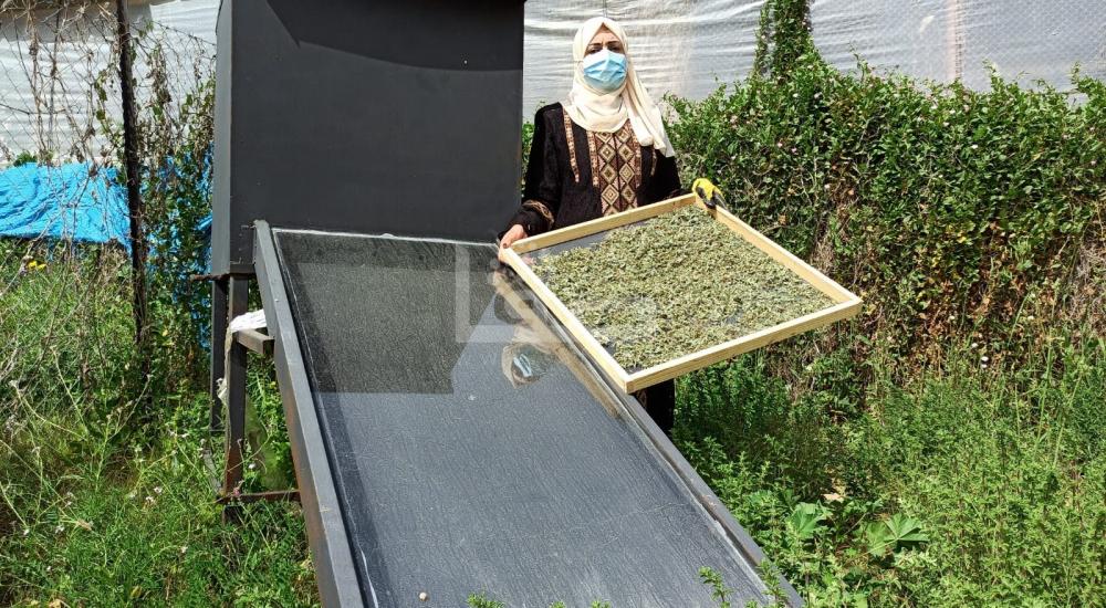 WhatsApp Image 2021-03-21 at 9.06.19 PM.jpg