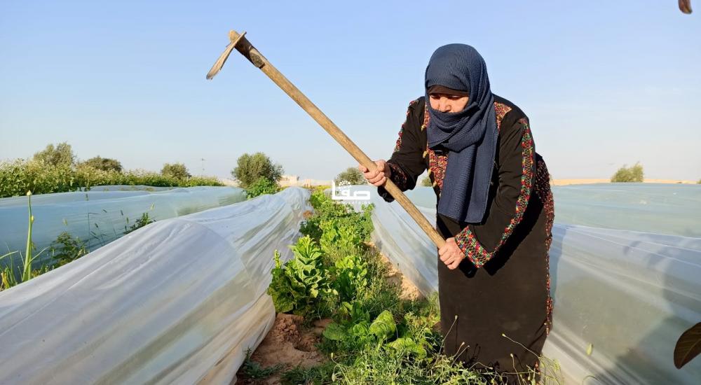 WhatsApp Image 2021-03-30 at 10.12.30 PM.jpeg