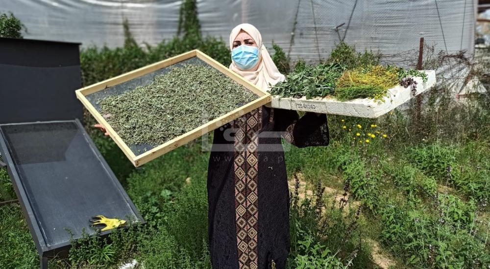 WhatsApp Image 2021-03-21 at 9.07.21 PM.jpg