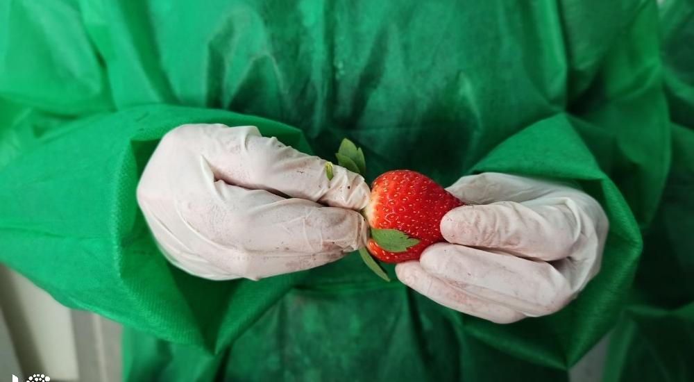 WhatsApp Image 2021-03-08 at 9.50.05 AM.jpg