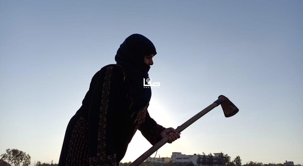 WhatsApp Image 2021-03-30 at 10.12.28 PM.jpeg