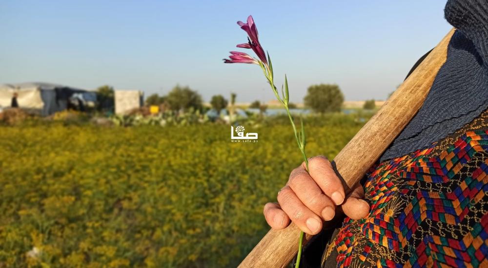 WhatsApp Image 2021-03-30 at 10.12.28 PM (2).jpeg