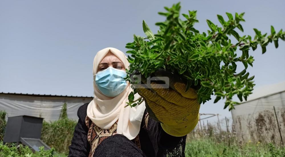 WhatsApp Image 2021-03-21 at 9.09.01 PM.jpg