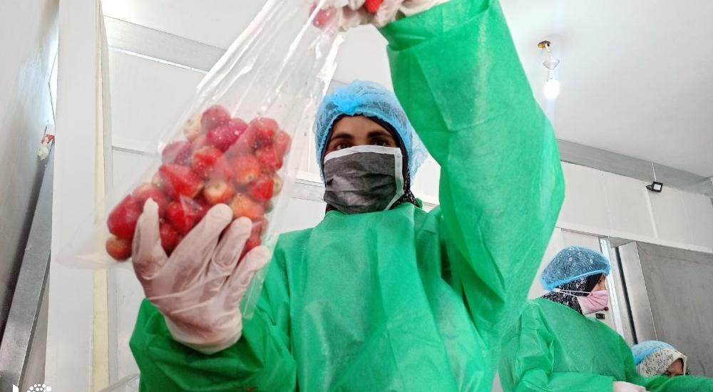 WhatsApp Image 2021-03-08 at 9.51.10 AM.jpg