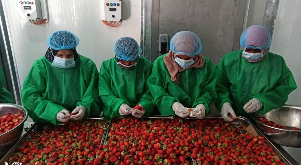 WhatsApp Image 2021-03-08 at 9.48.55 AM.jpg