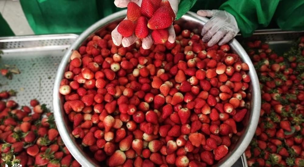 WhatsApp Image 2021-03-08 at 9.49.18 AM.jpg