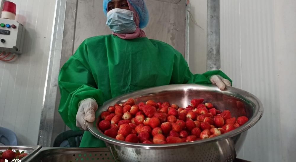 WhatsApp Image 2021-03-08 at 9.47.44 AM.jpg