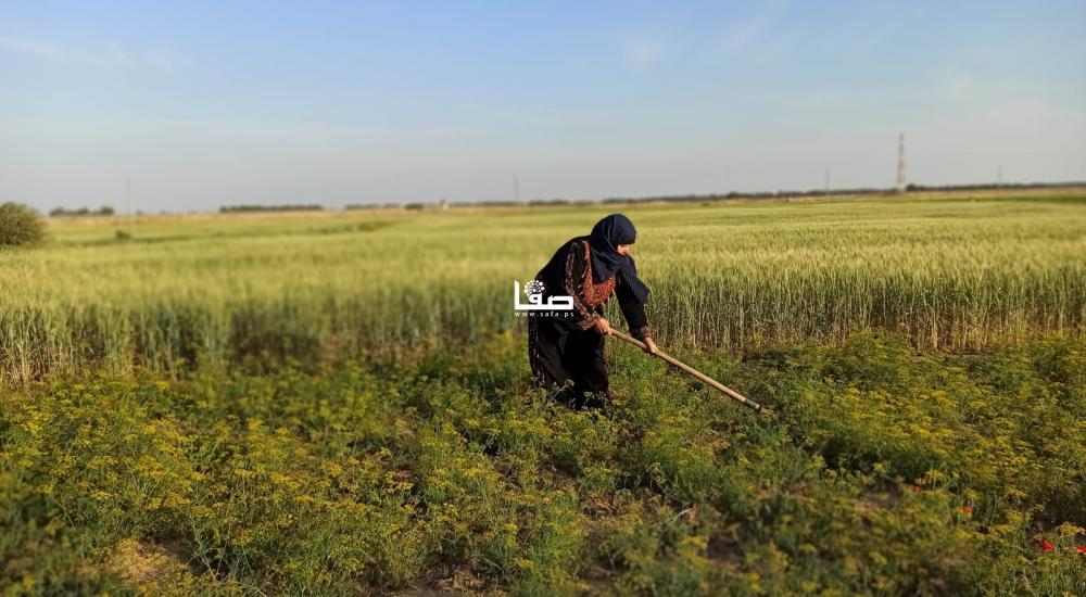 WhatsApp Image 2021-03-30 at 10.12.29 PM (1).jpeg