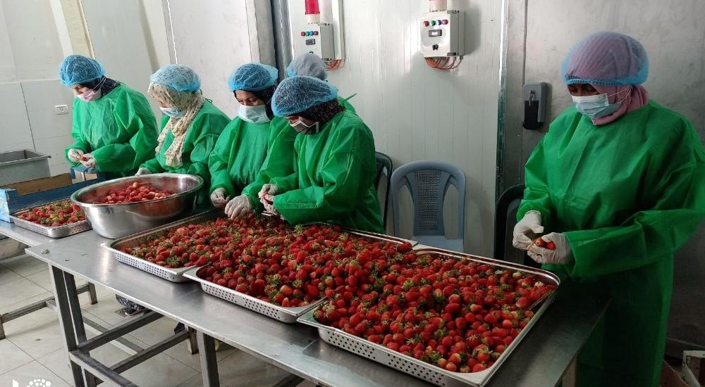 WhatsApp Image 2021-03-08 at 9.51.53 AM.jpg