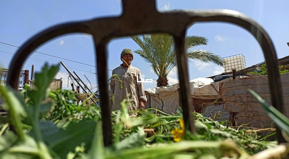 WhatsApp Image 2021-03-30 at 10.12.33 PM (3).jpeg