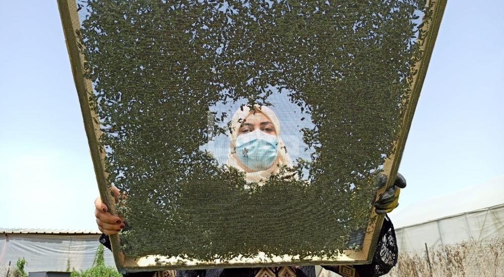 WhatsApp Image 2021-03-21 at 9.06.36 PM.jpg