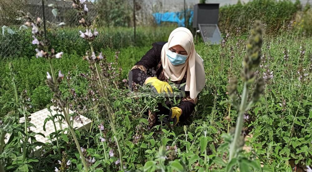 WhatsApp Image 2021-03-21 at 9.09.49 PM.jpg