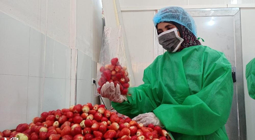 WhatsApp Image 2021-03-08 at 9.47.29 AM.jpg