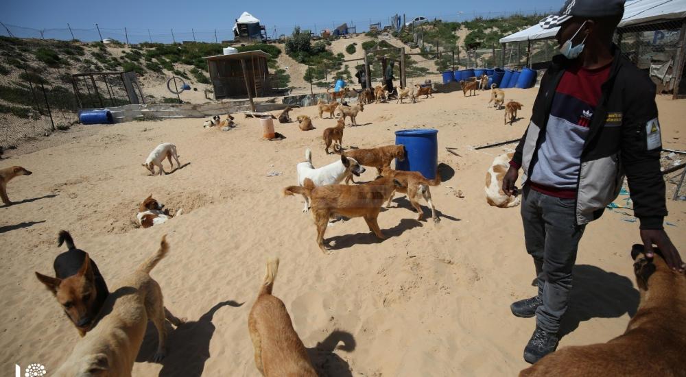 WhatsApp Image 2021-04-05 at 9.14.04 AM (1).jpg