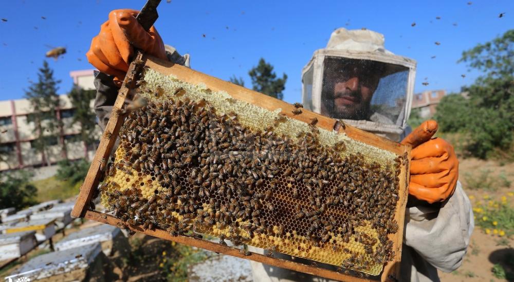 270420_ASH_00 (42).jpg