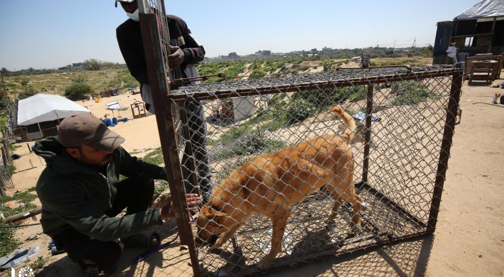 WhatsApp Image 2021-04-05 at 9.14.05 AM (1).jpg