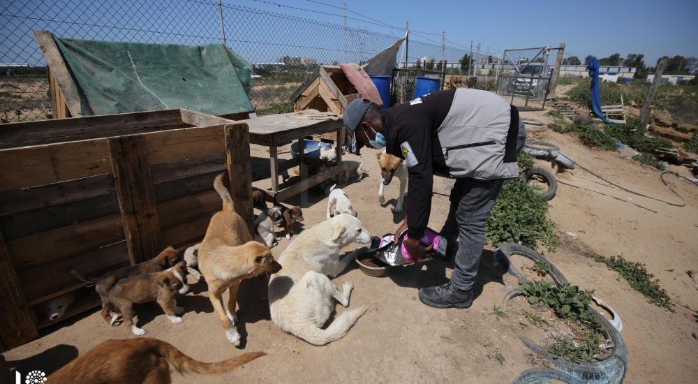 WhatsApp Image 2021-04-05 at 9.14.06 AM.jpg