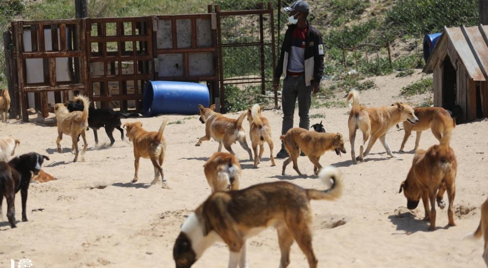 WhatsApp Image 2021-04-05 at 9.14.06 AM (2).jpg