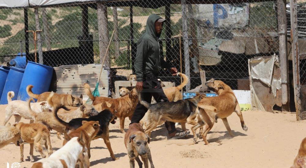 WhatsApp Image 2021-04-05 at 9.14.06 AM (1).jpg