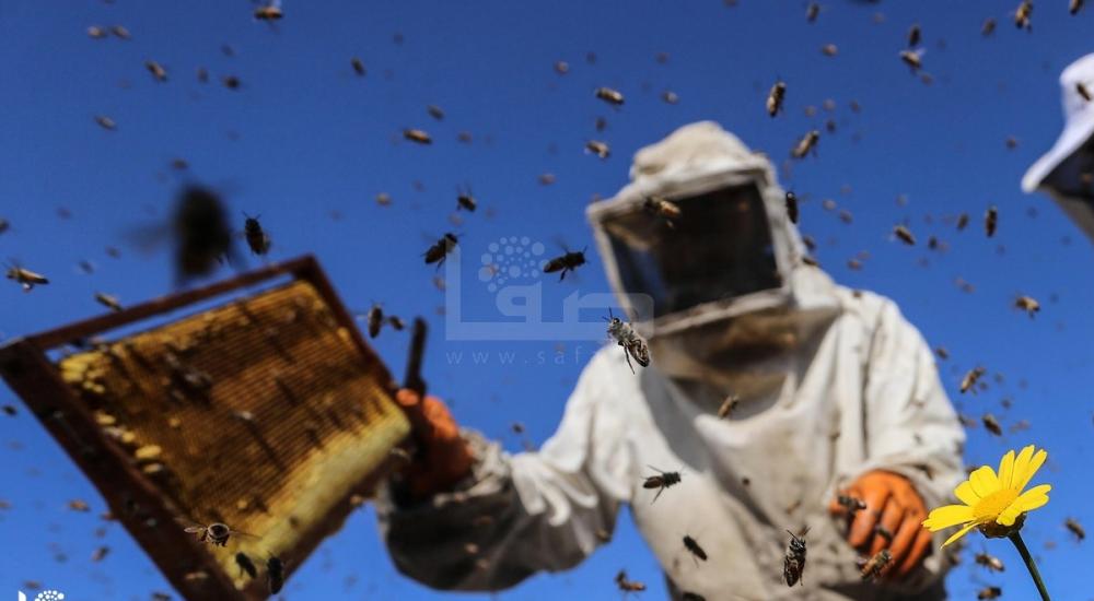 270420_ASH_00 (1).jpg