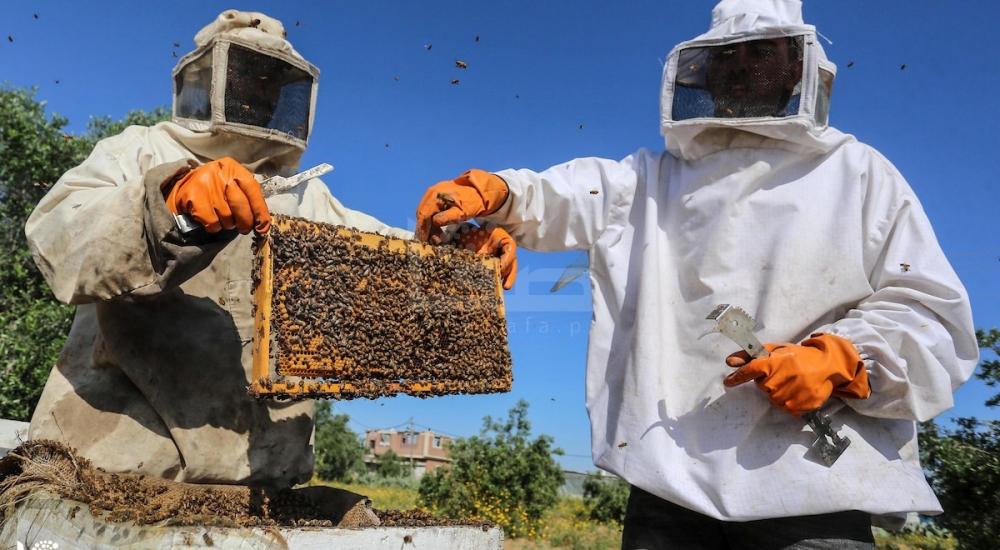 270420_ASH_00 (56).jpg