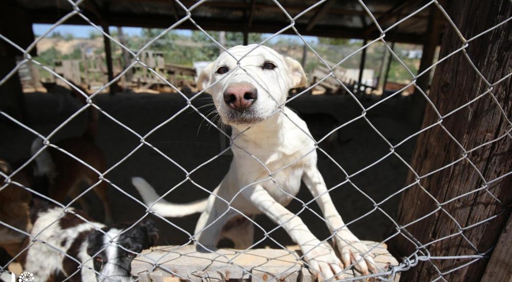 WhatsApp Image 2021-04-05 at 9.14.05 AM.jpg