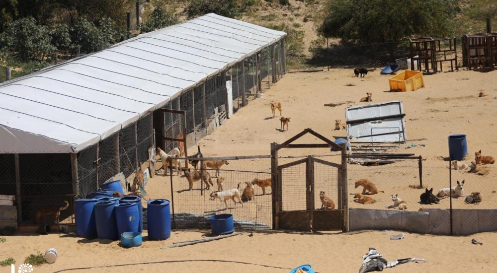 WhatsApp Image 2021-04-05 at 9.14.04 AM (2).jpg