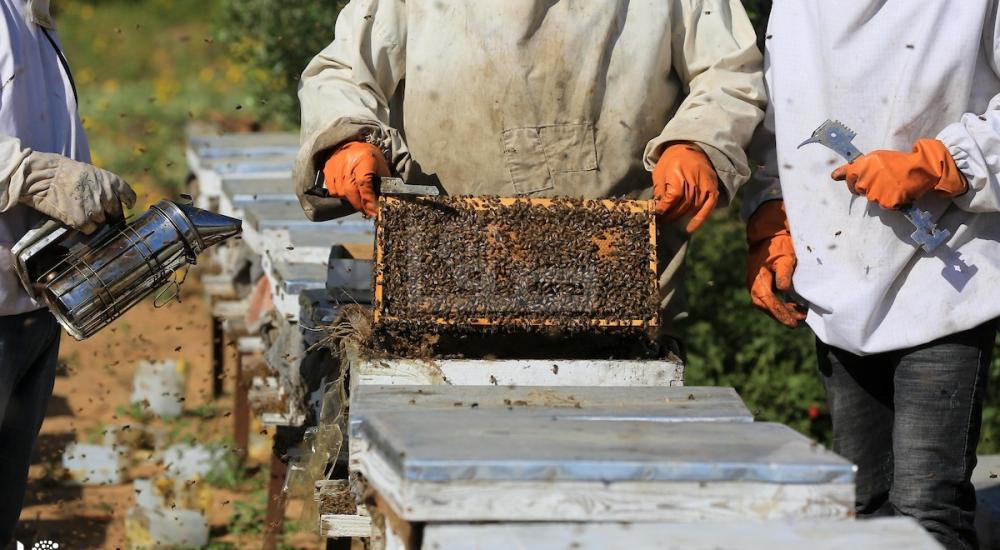 270420_ASH_00 (2).jpg