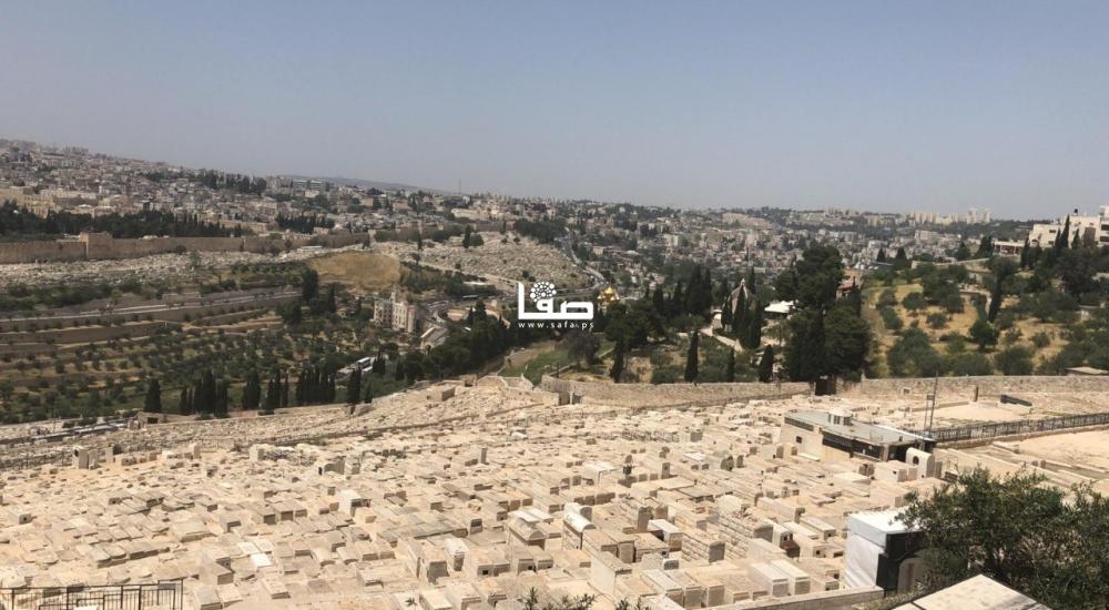 7e15428d-053c-4c55-9471-ba298ef7c94b.jfif