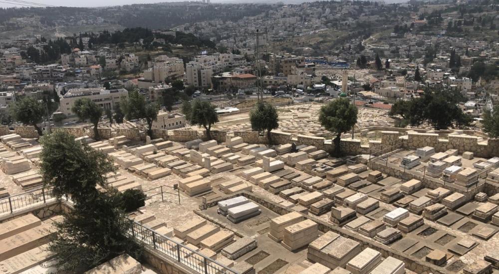 6bebec96-273b-4165-9710-529eaf6c1f39.jfif