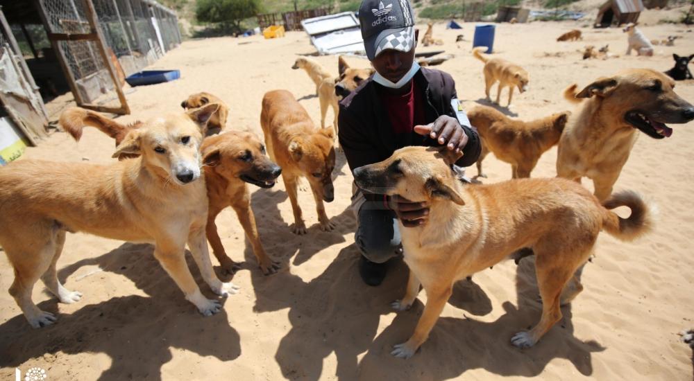 WhatsApp Image 2021-04-05 at 9.14.07 AM.jpg