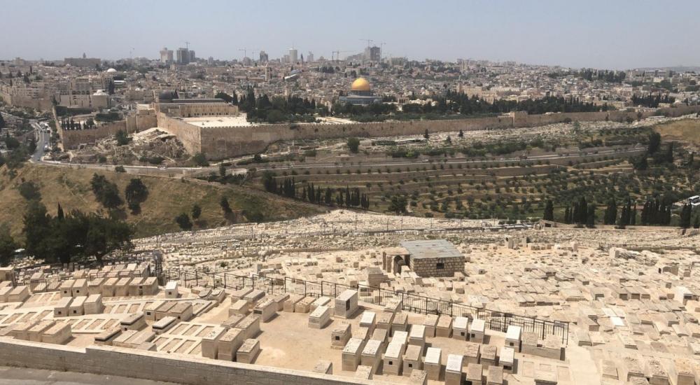 0b6b340f-3a34-44cb-b39c-d002f6bee5da.jfif