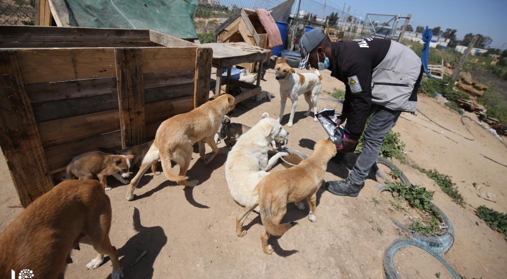 WhatsApp Image 2021-04-05 at 9.14.04 AM.jpg