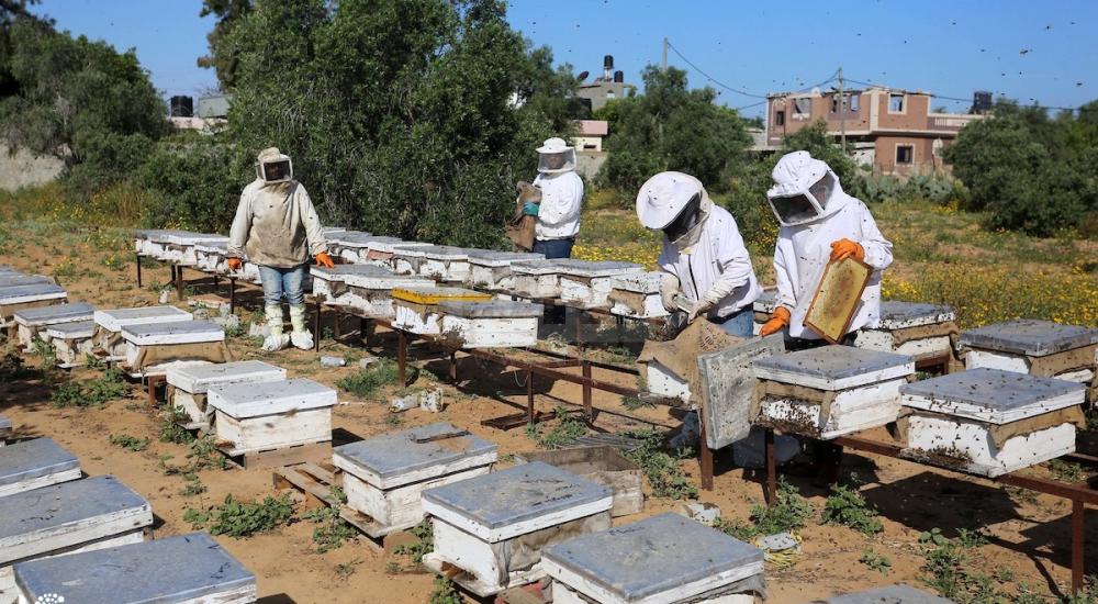 270420_ASH_00 (47).jpg