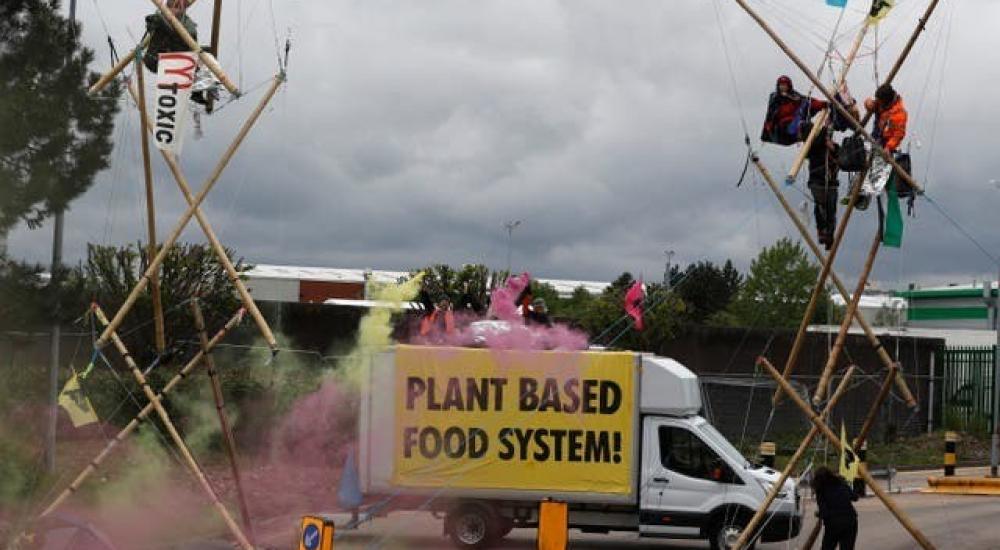 WhatsApp Image 2021-05-23 at 10.25.55 AM (1).jpeg