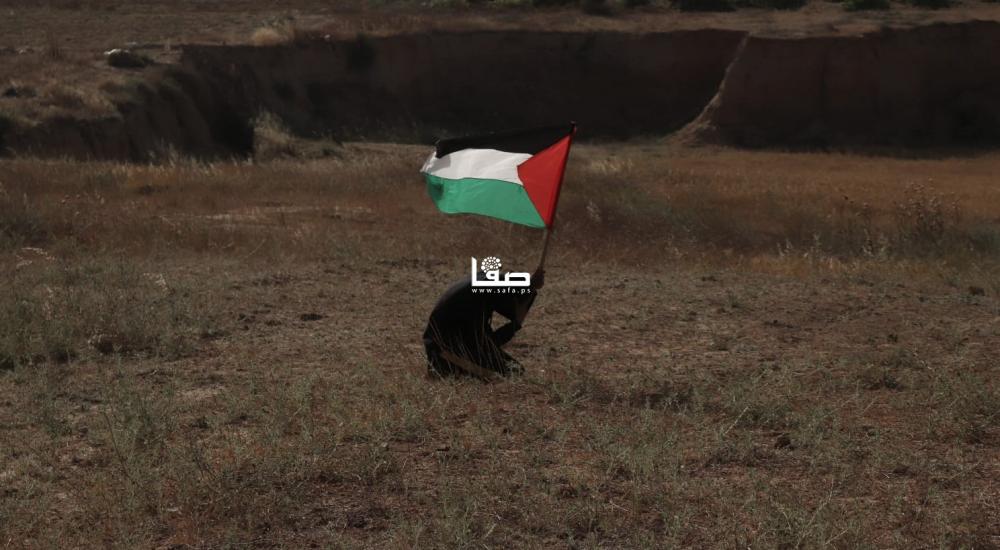 WhatsApp Image 2021-05-08 at 8.28.55 PM.jpeg