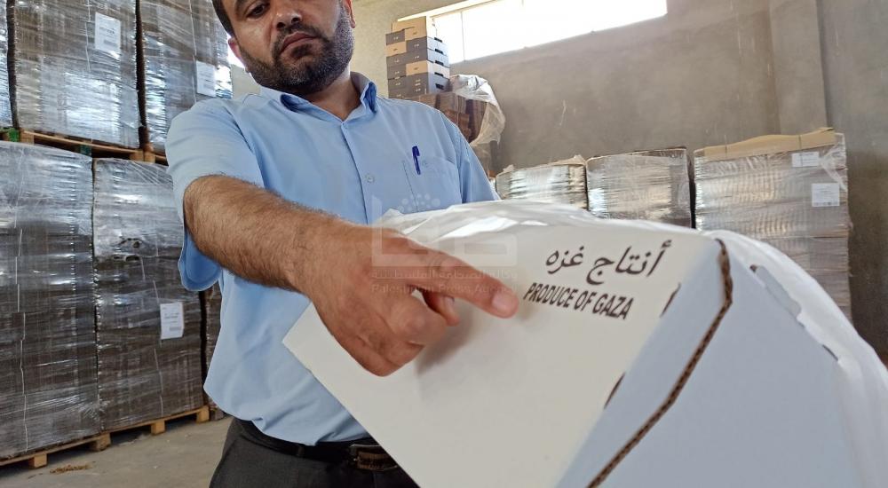 WhatsApp Image 2021-06-17 at 3.48.31 PM (2).jpg